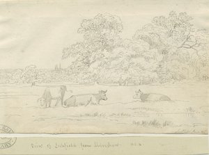 リッチフィールド-アルダーショーからの眺め 作： Henry Curzon Allport
