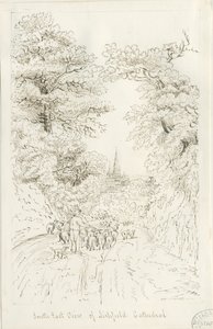 リッチフィールド大聖堂-サウスイーストビュー（遠方）：ペン画、nd [19セント]（絵） 作： Henry Curzon Allport