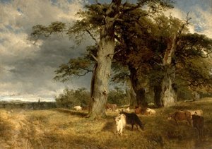 公爵夫人の風景、ノッティンガムシャー、1850