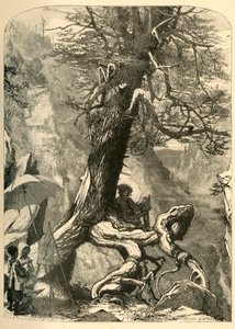 「ナチュラル ブリッジの上」、1872 年。