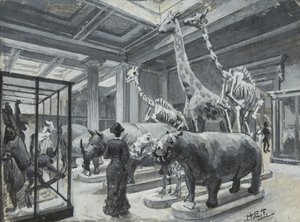 1880年頃の動物展示を含むギャラリーを示す大英博物館の内観 作： Henry Edward Tidmarsh