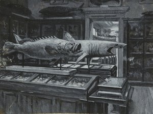 魚類展示室を示す大英博物館の内観 1880年頃（紙にウォッシュ＆ボディカラー 作： Henry Edward Tidmarsh