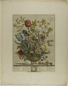 十二月の花より 2月 作： Henry Fletcher