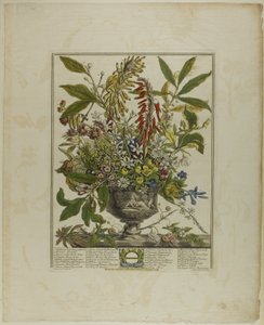 1月、花の十二ヶ月より