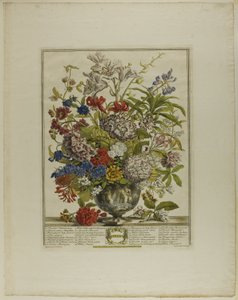 七月、花の十二ヶ月より 作： Henry Fletcher