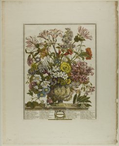 12月の花より10月 作： Henry Fletcher