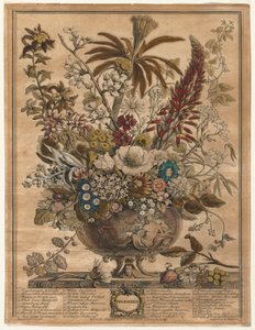 花の十二ヶ月：12月 作： Henry Fletcher