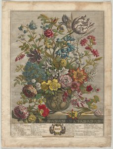 花の12ヶ月。1730年の5月。