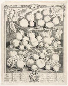 果物の12ヶ月：1732年8月。 作： Henry Fletcher