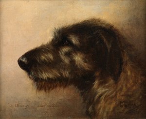 アイリッシュ・ウルフハウンド、ウーボローのチャンピオン・クローダ 作： Henry Frederick Lucas Lucas