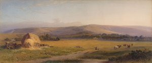 サウスダウンズ牧草地、1867