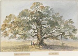 ブリスフィールド-乞食のオーク：水彩画、1844