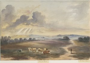 Cannock Chase-"Heath"：水彩画、1844 作： Henry James Noyes