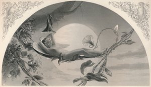 アリエルテンペスト、c1870 作： Henry James Townsend