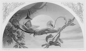 アリエル、ロイヤル・コレクションの絵から（エングレーヴィング 作： Henry James Townsend