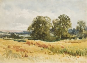 収穫畑、1910年頃（紙に水彩） 作： Henry John Sylvester Stannard