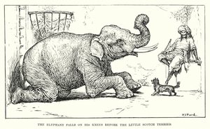 小さなスコッチ・テリアの前に膝をつく象（エングレーヴィング） 作： Henry Justice Ford