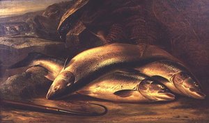 鮭の静物画 作： Henry Leonidas Rolfe