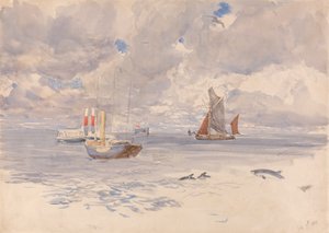 ネズミイルカ、1883 年 7 月 7 日 作： Henry Moore