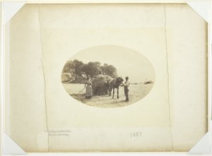 Cader-Idris の斜面で、干し草の最後の積み込み 作： Henry Peach Robinson