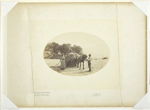 Cader-Idris の斜面で、干し草の最後の積み込み、1883 年。 作： Henry Peach Robinson
