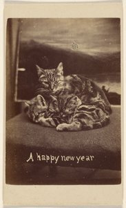 新年明けましておめでとうございます