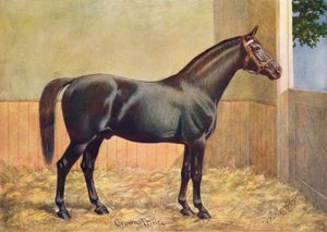 ヨークシャーコーチホーススタリオンクラウンプリンス、1902年c1910 作： Henry Powell Palfrey