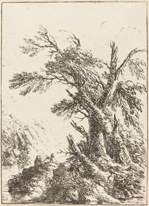 水辺の古木のある風景 作： Henry Richard Greville, 3rd earl of Warwick