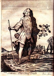 Mona Antiqua Restaurata のチーフ ドルイド、1723 年 作： Henry Rowlands