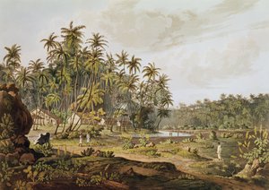 1809年に出版されたダニエルハヴェル（1785-1826）によって彫刻されたセイロンポイントデュゴール近くのビュー 作： Henry Salt