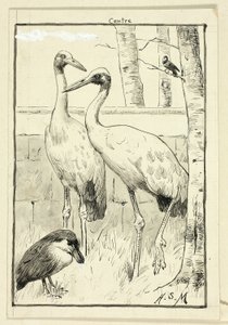 風景の中の4羽の鳥