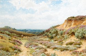 サリーヒースのヘザー（紙にトイレ） 作： Henry Sutton Palmer