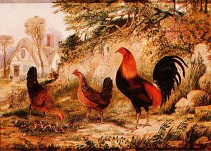 コケコッコーと雌鳥と雛 作： Henry Thomas Alken