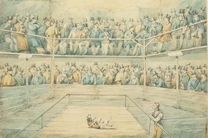 ウェストミンスター・ピットでのドッグファイト 作： Henry Thomas Alken