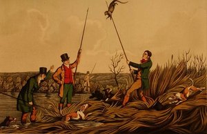 Spearing The Otter」（トーマス・マクリーン著）。 作： Henry Thomas Alken