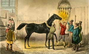 男爵は彼のぬれた、1838 作： Henry Thomas Alken
