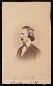 セオドア・ニコラス・ギルの肖像、1837～1914年、1865～1870年。 作： Henry Ulke