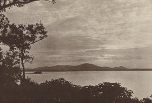 セイロンの荒廃した都市: ミネリア (白黒写真) 作： Henry W. Cave