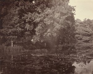 [サリー州、公園の池］ 作： Henry White