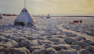 雪に覆われたリトアニアの沼地。