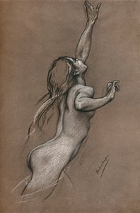 飛魚研究、c1910