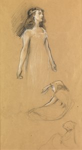 「トリストラムとイゾルデ」のための研究、1901年頃 作： Herbert James Draper
