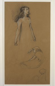 イストルトの「トリストラムとイセルト」の研究 作： Herbert James Draper