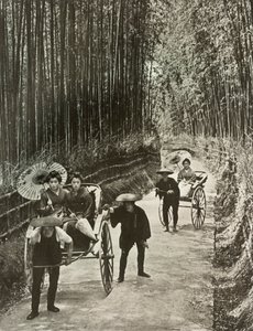 京都の竹道、1910年。