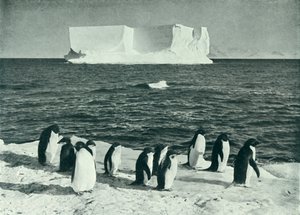 マクマードサウンドで漂流するベルク、c19101913、1913。