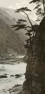 1910年、桂川のグレン。 作： Herbert Ponting