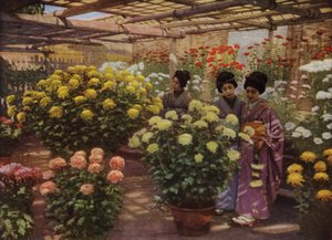 菊花展にて（写真 作： Herbert Ponting