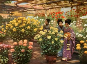 菊ショー、1910年。