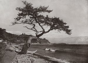 熱海（モノクロ写真 作： Herbert Ponting