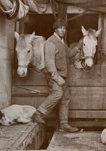 テアノヴァのキャプテンオーツとポニー、1910〜1912年、1913年。 作： Herbert Ponting